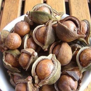 Hạt mắc ca