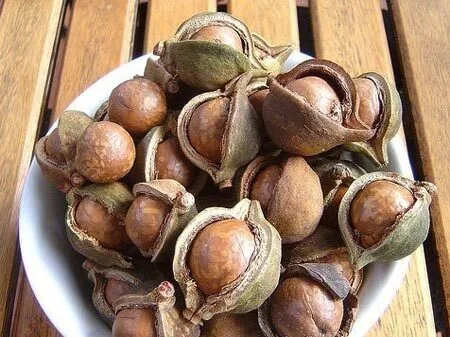 Hạt mắc ca